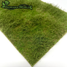 Wilde Wiese im Frühling -