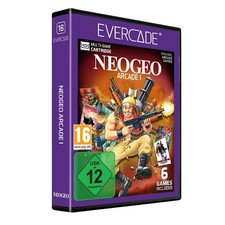 Blaze Evercade Arcade Catridge