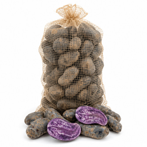 Kartoffel violetta festkochend - kartoffel,