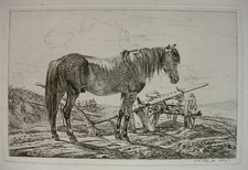 JOHANN ADAM KLEIN `DER SCHWARZE SCHIMMEL AM PFLUG´ RADIERUNG, J. 127 III, 1813