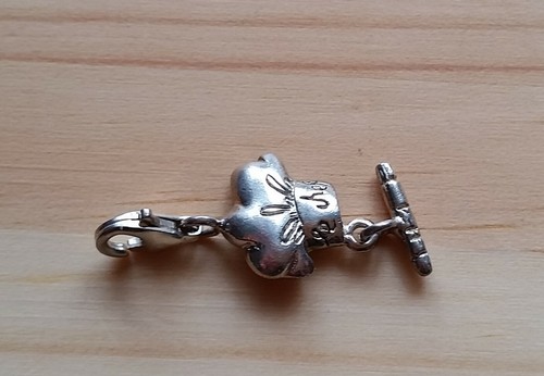 Anhänger charm echt - charm,