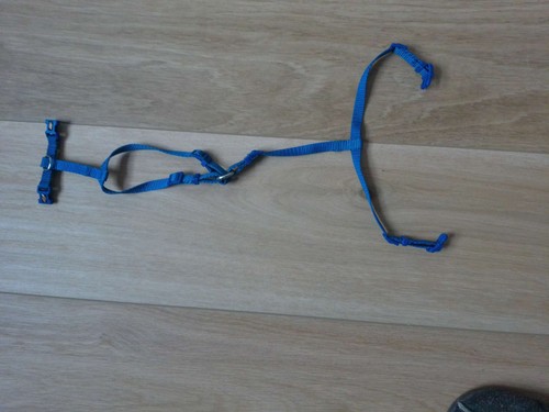 Hunde geschirr welpengeschirr - hunde,