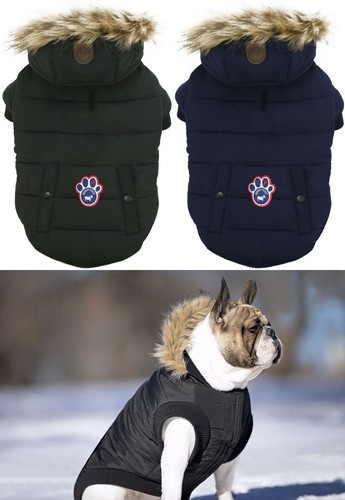 Canada pooch north pole - canada,