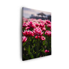 Leinwand-Bilder: Pflanzen Natur Botanika- Tulpen, Größe: 30x40 cm bis 80x120 cm