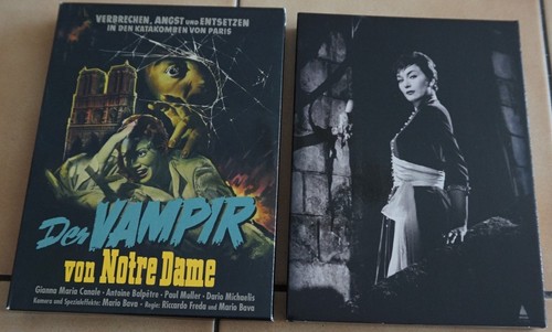 Der vampir von notre dame - dame, /