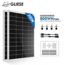 200W(2x100W) 12V Mono