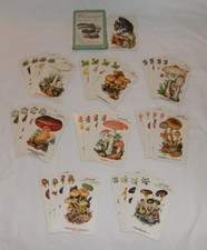 4.25 DDR Quartett Pilze jederzeit Anleitung fehlt Kartenspiel