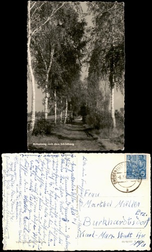 Ansichtskarte birkenweg nach - ,