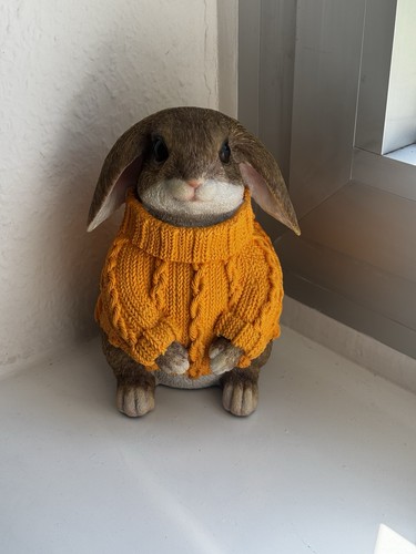 Hase mit pullover pulli - hase,