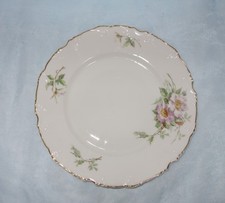 Jugendstil - Speisegeschirr - Goldstaffage -  Wildrose -Dekor