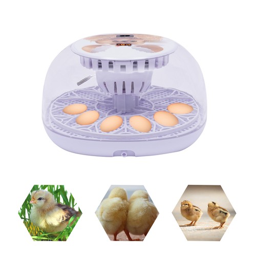 Eier inkubator - 12,