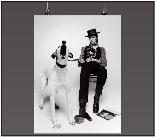 David bowie hund - david, poster