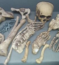 Halloween Party Dekoration Totenkopf Div. Knochen Fundus Fotostudio Y 442