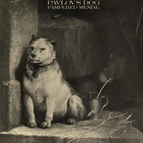 Pavlov dog pampered - pavlov's,