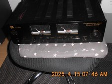 verstärker  Wangine