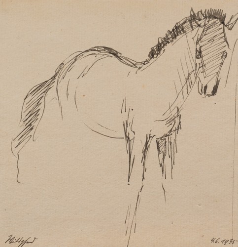 Wolf - wolf, (1901-1993)
