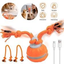 Interaktiver Hundespielzeug