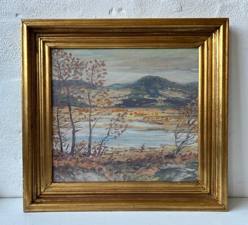 ölbild landschaft schweden - landschaft,