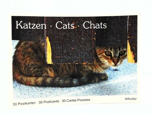Katzen postkarten - 30, postkarten.