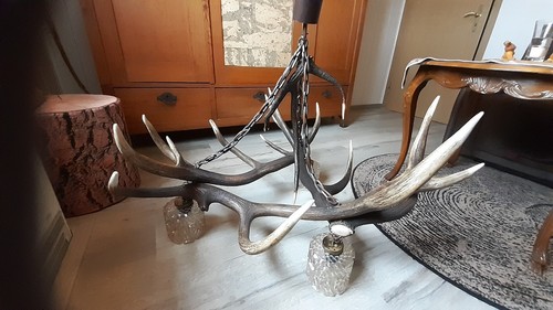Geweihlampe glasschirme - geweihlampe,, 3