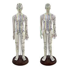 Akupunkturmodell, Höhe 54 cm, Mehrzweck-Leichtbau-PVC-Modell des