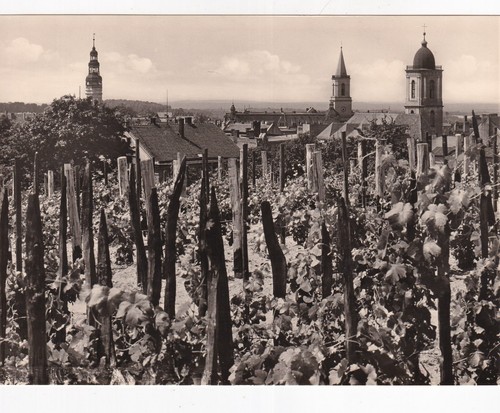 Foto grünberg zielona - -,