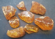 BRD, DDR 8 Bernsteine aus Bitterfeld 65g SP130454