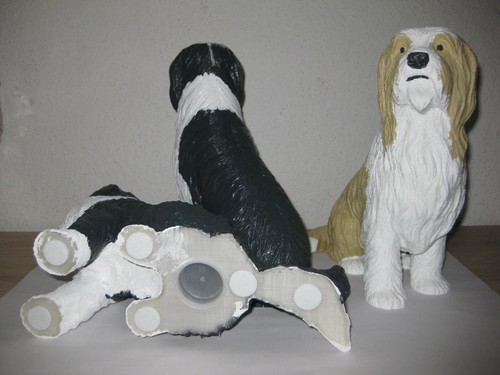 Bearded collie spardose - collie, spardose 