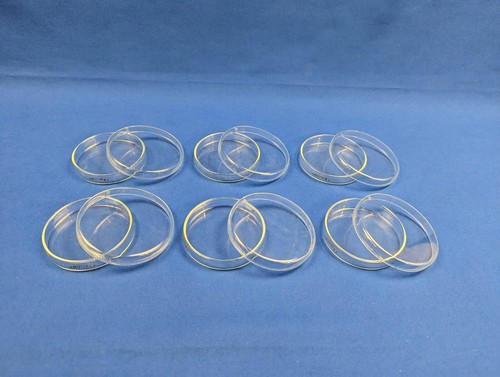 Petrischale mm glas - x, 6