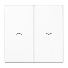 Jung Wippe LS995PWW 2fach mit