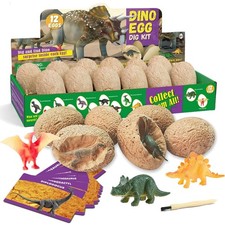 Dinosaurier egg ausgrabung set - dinosaurier,