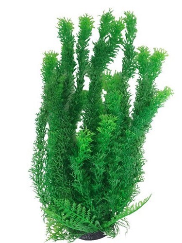 Kunststoff aquarium pflanze - aquarium,
