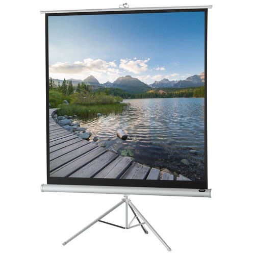 Celexon stativleinwand economy - celexon,