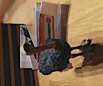 Schleich Strauß Tierfigur