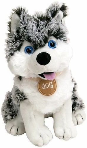 Husky hund snowstar - husky,