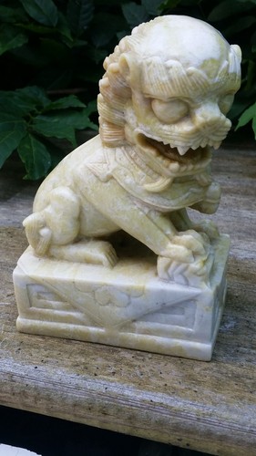 Foo hund tempellöwe shishi - tempellöwe,