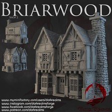 Dark Realms Briarwood Shop 2
