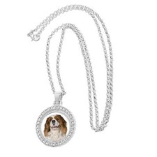 King Charles Spaniel