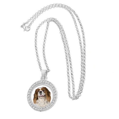 King charles spaniel - charles,