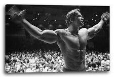 Wandbild Arnold Schwarzenegger