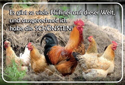 Blechschild cm viele - 20, 30