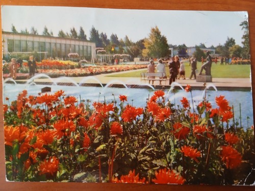 Postkarte 3126 gelaufen
