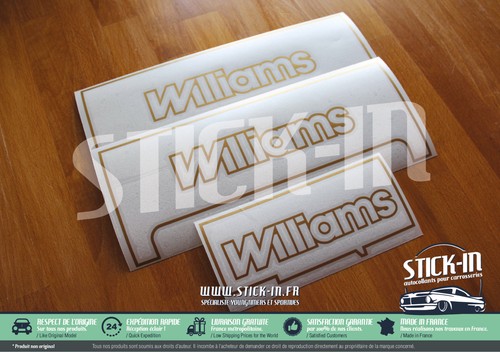 Clio williams 100 set - williams,