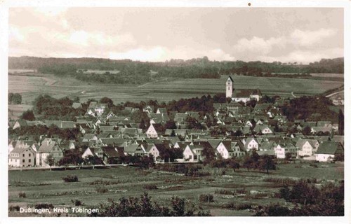 Dusslingen panorama - bw,