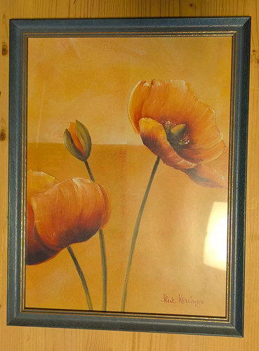 Bild mohnblumen rahmen - mohnblumen,