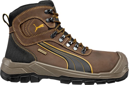 Puma safety sierra nevada - puma,