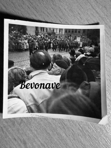 Foto festumzug dresden - foto,