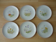 6x ROSENTHAL-Annemarie-Frühstücksteller Kuchenteller Blumen Wiesenblumen Ø19,4cm
