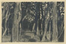 Walter Leistikow - Baumgruppe - Radierung 1895