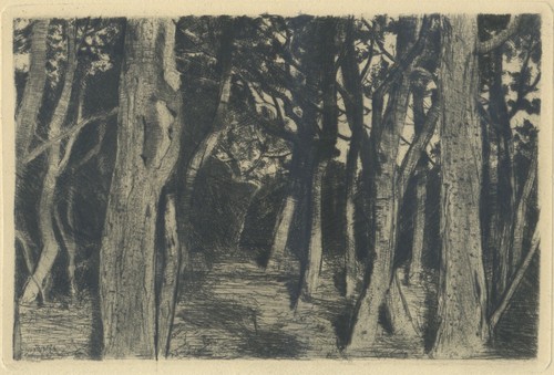 Walter leistikow baumgruppe - leistikow,